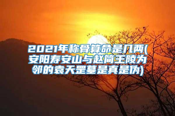 2021年称骨算命是几两(安阳寿安山与赵简王陵为邻的袁天罡墓是真是伪)