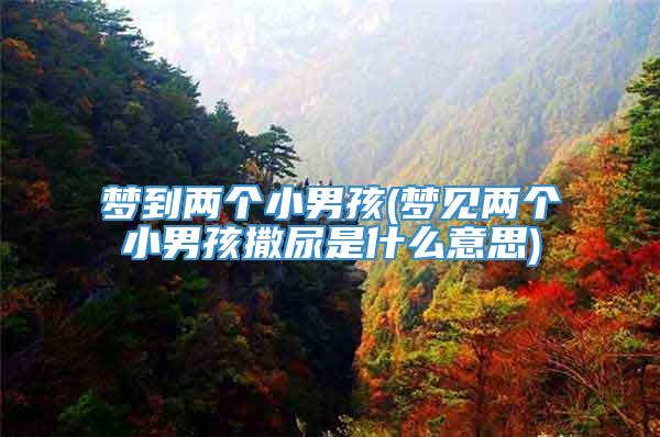 梦到两个小男孩(梦见两个小男孩撒尿是什么意思)