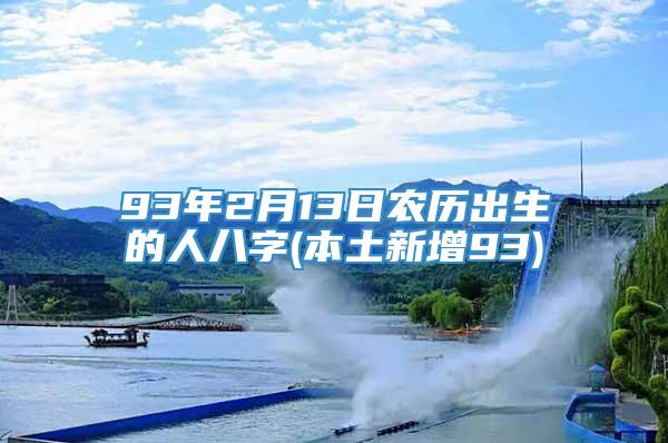 93年2月13日农历出生的人八字(本土新增93)