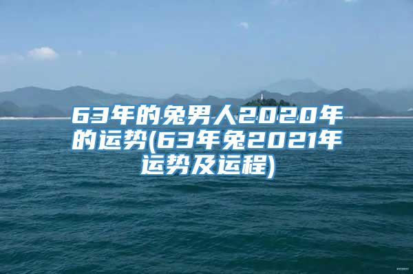 63年的兔男人2020年的运势(63年兔2021年运势及运程)