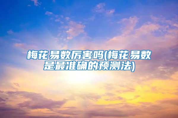 梅花易数厉害吗(梅花易数是最准确的预测法)