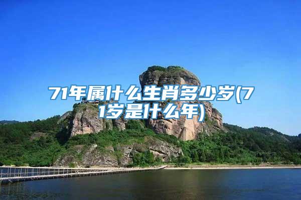 71年属什么生肖多少岁(71岁是什么年)