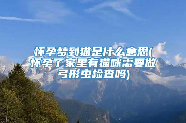 怀孕梦到猫是什么意思(怀孕了家里有猫咪需要做弓形虫检查吗)