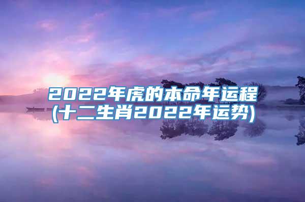 2022年虎的本命年运程(十二生肖2022年运势)