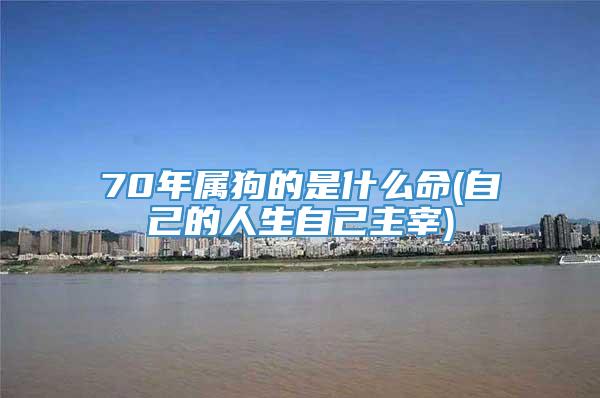 70年属狗的是什么命(自己的人生自己主宰)