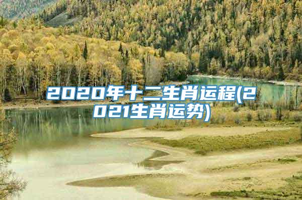 2O2O年十二生肖运程(2021生肖运势)