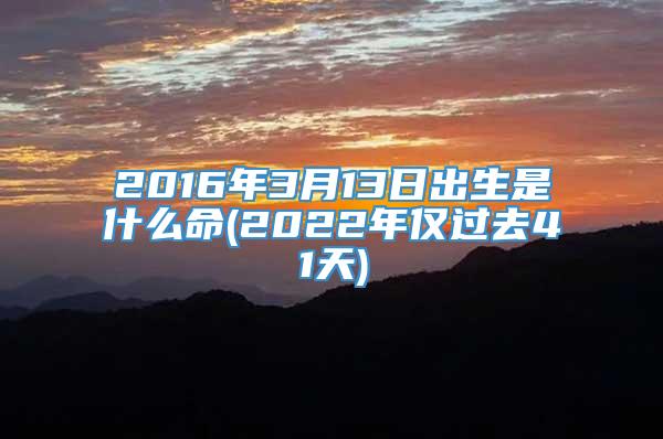 2016年3月13日出生是什么命(2022年仅过去41天)