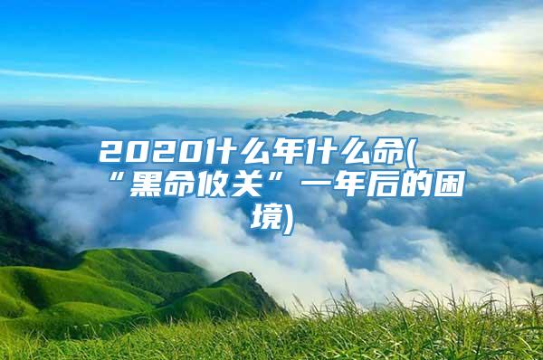 2020什么年什么命(“黑命攸关”一年后的困境)