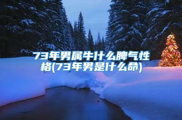 73年男属牛什么脾气性格(73年男是什么命)