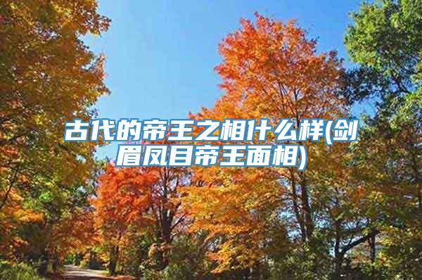 古代的帝王之相什么样(剑眉凤目帝王面相)