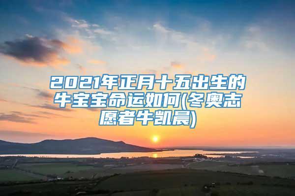 2021年正月十五出生的牛宝宝命运如何(冬奥志愿者牛凯晨)