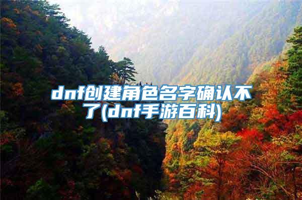 dnf创建角色名字确认不了(dnf手游百科)