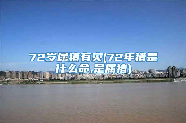 72岁属猪有灾(72年猪是什么命,是属猪)