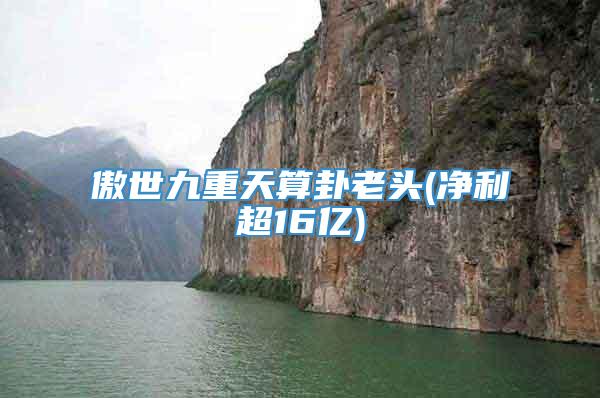 傲世九重天算卦老头(净利超16亿)