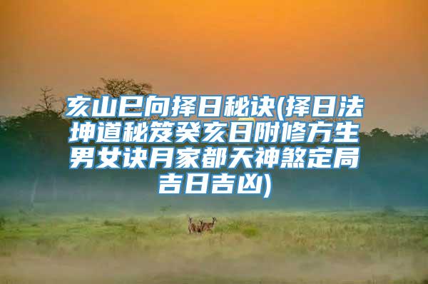 亥山巳向择日秘诀(择日法坤道秘笈癸亥日附修方生男女诀月家都天神煞定局吉日吉凶)