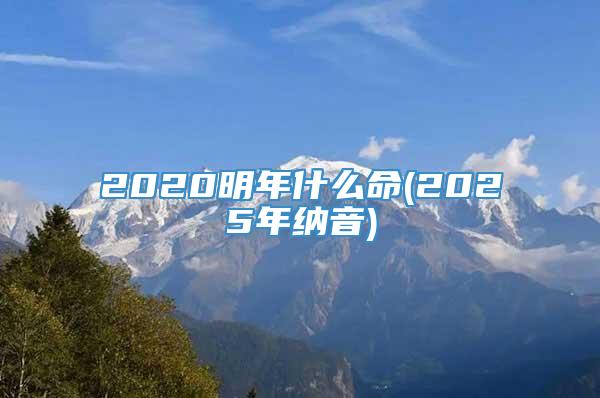 2020明年什么命(2025年纳音)