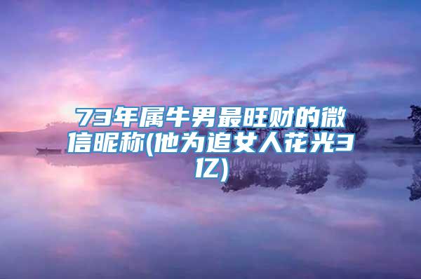 73年属牛男最旺财的微信昵称(他为追女人花光3亿)