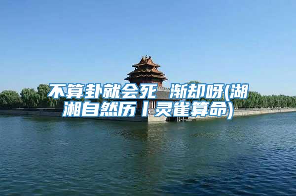 不算卦就会死 渐却呀(湖湘自然历丨灵雀算命)
