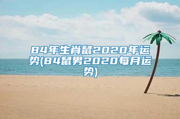 84年生肖鼠2020年运势(84鼠男2020每月运势)