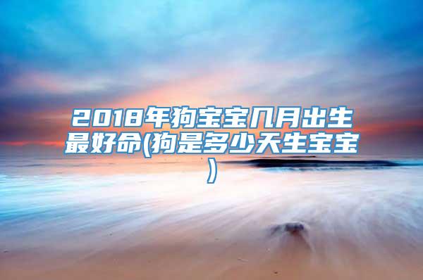 2018年狗宝宝几月出生最好命(狗是多少天生宝宝)