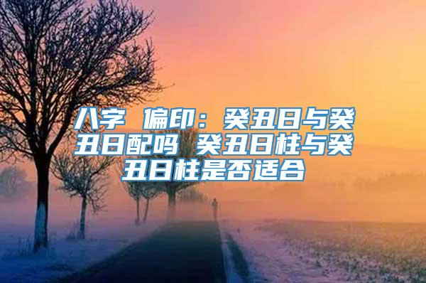 八字 偏印：癸丑日与癸丑日配吗 癸丑日柱与癸丑日柱是否适合