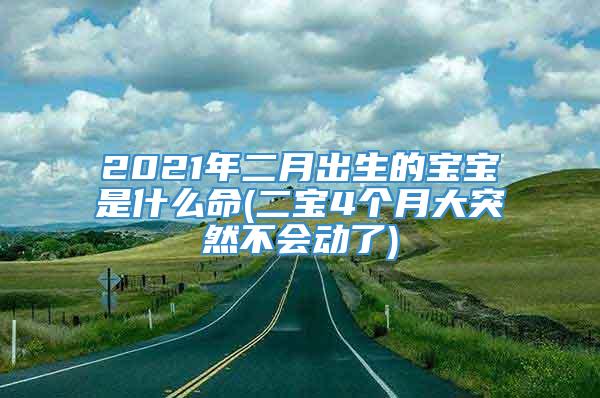 2021年二月出生的宝宝是什么命(二宝4个月大突然不会动了)