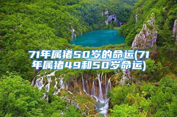71年属猪50岁的命运(71年属猪49和50岁命运)