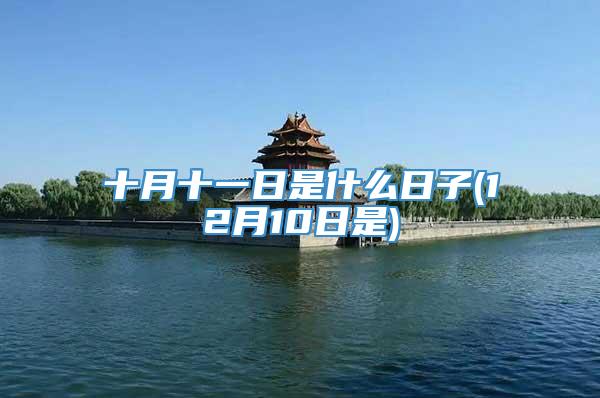 十月十一日是什么日子(12月10日是)