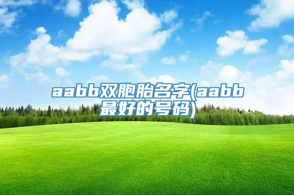 aabb双胞胎名字(aabb最好的号码)