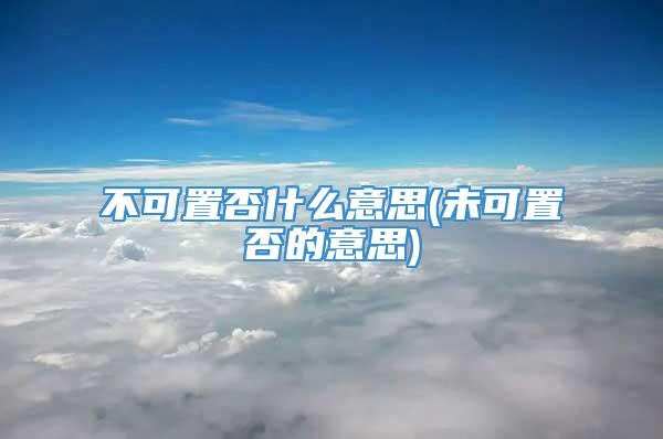 不可置否什么意思(未可置否的意思)
