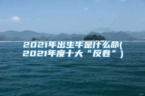 2021年出生牛是什么命(2021年度十大“反卷”)