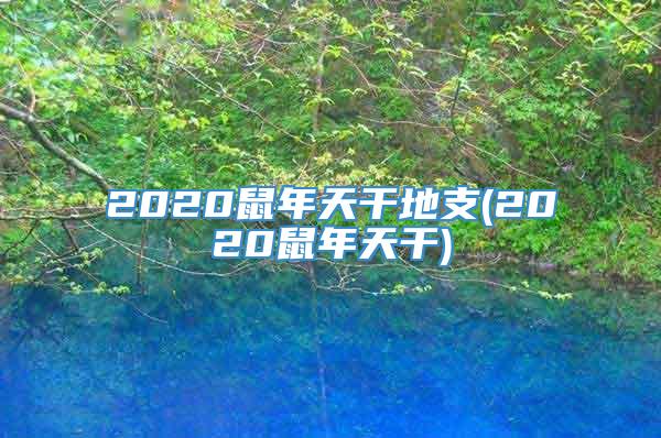 2020鼠年天干地支(2020鼠年天干)