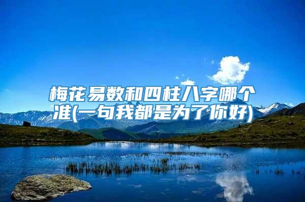 梅花易数和四柱八字哪个准(一句我都是为了你好)