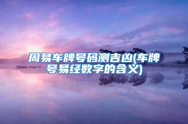 周易车牌号码测吉凶(车牌号易经数字的含义)