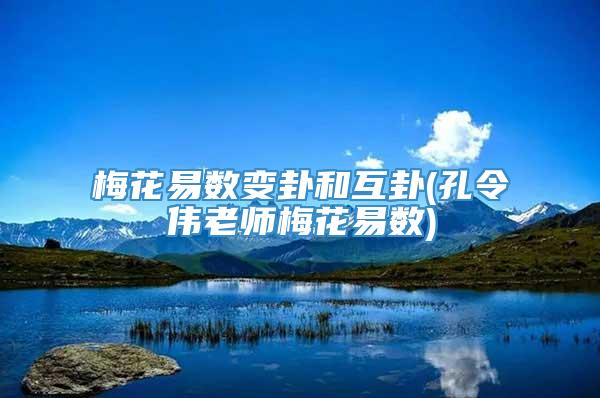 梅花易数变卦和互卦(孔令伟老师梅花易数)