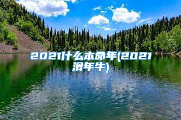 2021什么本命年(2021滑年牛)