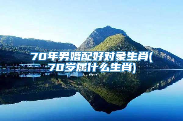 70年男婚配好对象生肖(70岁属什么生肖)