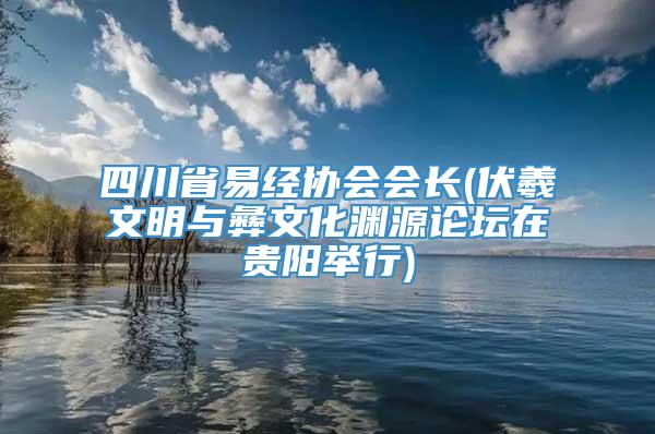 四川省易经协会会长(伏羲文明与彝文化渊源论坛在贵阳举行)