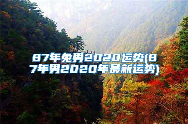 87年兔男2020运势(87年男2020年最新运势)