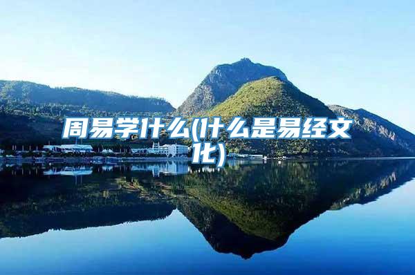 周易学什么(什么是易经文化)