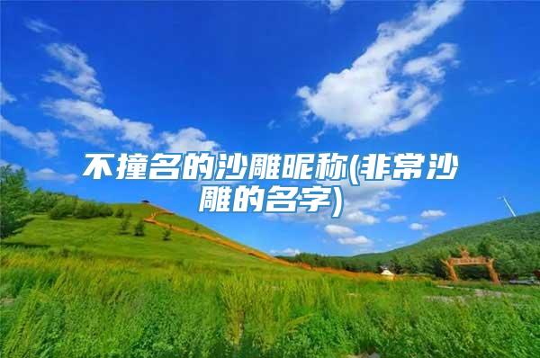 不撞名的沙雕昵称(非常沙雕的名字)