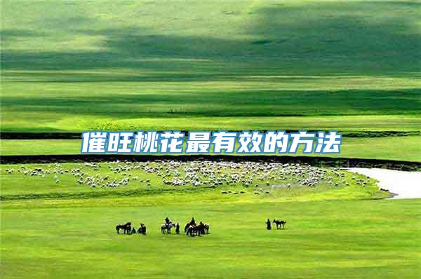 催旺桃花最有效的方法