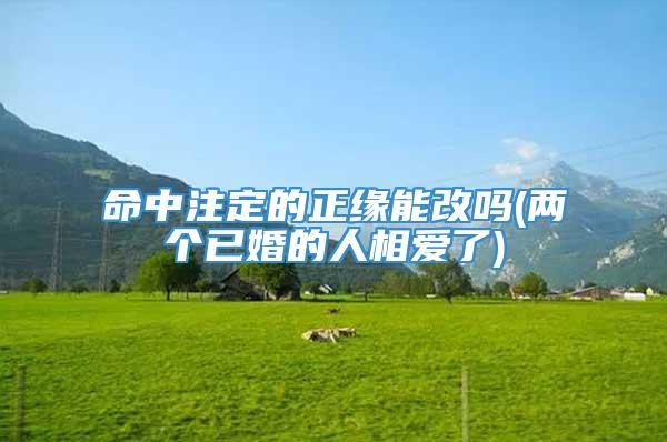 命中注定的正缘能改吗(两个已婚的人相爱了)