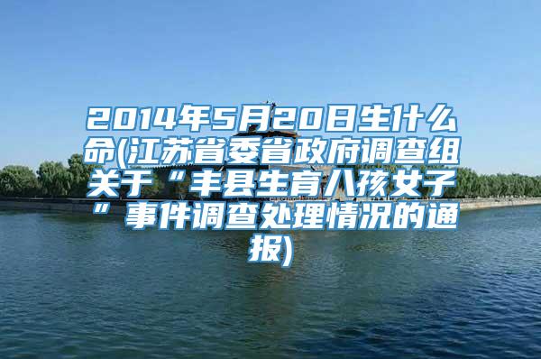 2014年5月20日生什么命(江苏省委省政府调查组关于“丰县生育八孩女子”事件调查处理情况的通报)