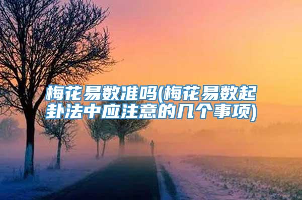梅花易数准吗(梅花易数起卦法中应注意的几个事项)