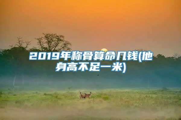 2019年称骨算命几钱(他身高不足一米)