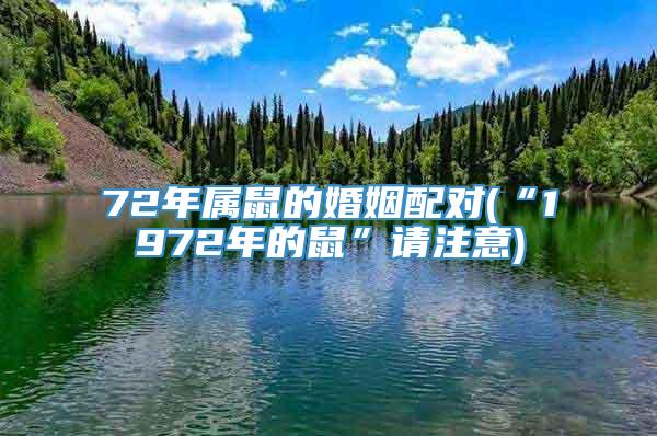 72年属鼠的婚姻配对(“1972年的鼠”请注意)