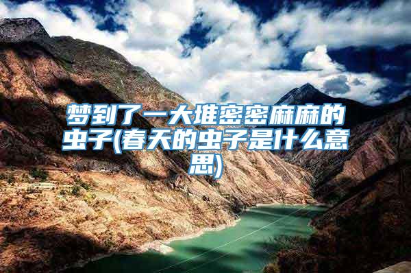 梦到了一大堆密密麻麻的虫子(春天的虫子是什么意思)