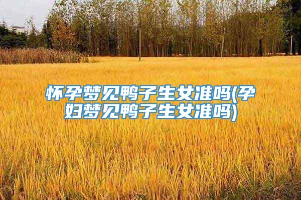 怀孕梦见鸭子生女准吗(孕妇梦见鸭子生女准吗)