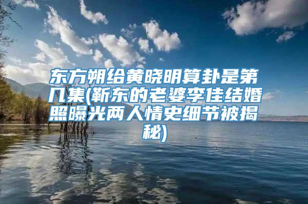 东方朔给黄晓明算卦是第几集(靳东的老婆李佳结婚照曝光两人情史细节被揭秘)